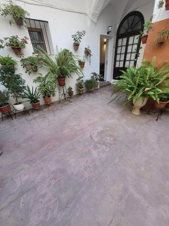 Apartment Casa Cuna *